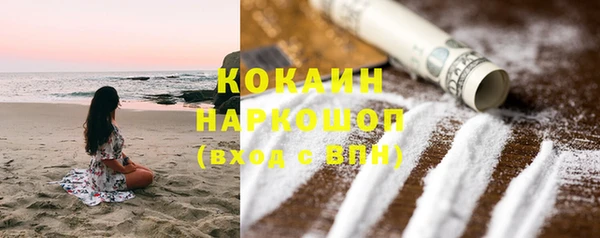 сатива Беломорск