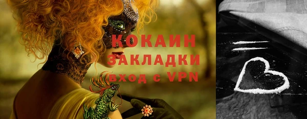 сатива Беломорск
