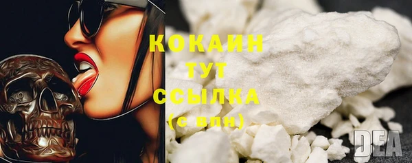 сатива Беломорск