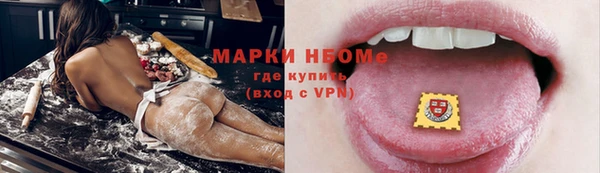 сатива Беломорск