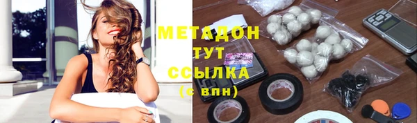 сатива Беломорск