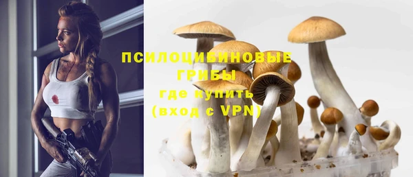 сатива Беломорск
