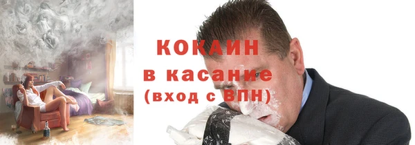 сатива Беломорск
