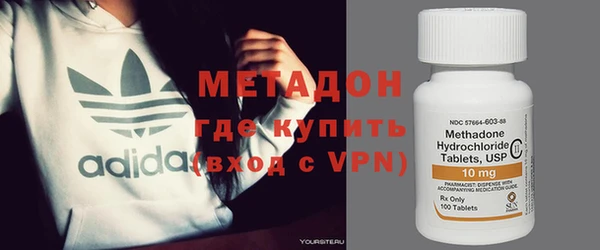 сатива Беломорск