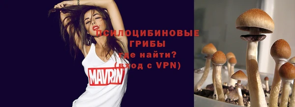первитин Белоозёрский
