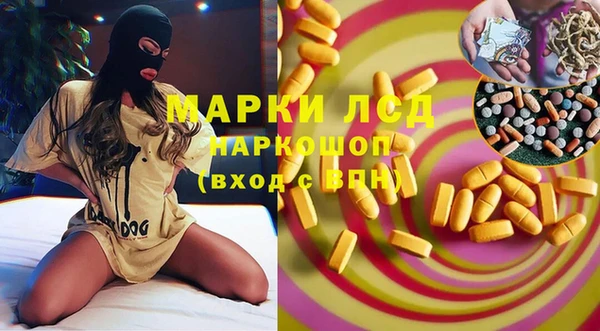сатива Беломорск