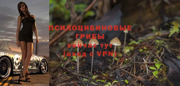 Альфа ПВП Протвино