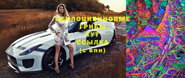 сатива Беломорск