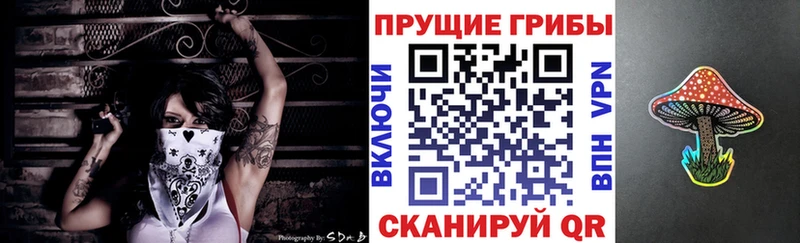 закладка Городовиковск Псилоцибиновые грибы прущие грибы